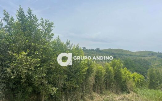 Se vende lote en el sector Campo alegre Lebrija