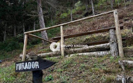 Gran oportunidad de inversión en turismo venta de lote con cabaña en Finca Montaña Mágica – Floridablanca