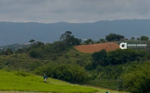 Proyecto de Lotes Arrayanes Country Club – Ruitoque, Girón Santander