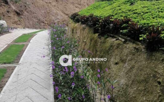 Se Vende Lote Independiente Terreno Mensuli Vereda la Cuchilla – Piedecuesta