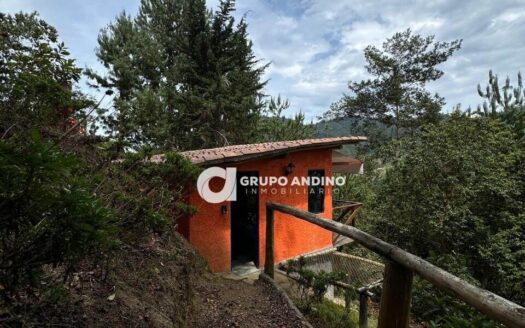Gran oportunidad de inversión en turismo venta de lote con cabaña en Finca Montaña Mágica – Floridablanca