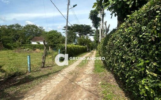 Se Vende Lote en Rincón del Sol Lt villa Alcira vía Guatiguara – Piedecuesta