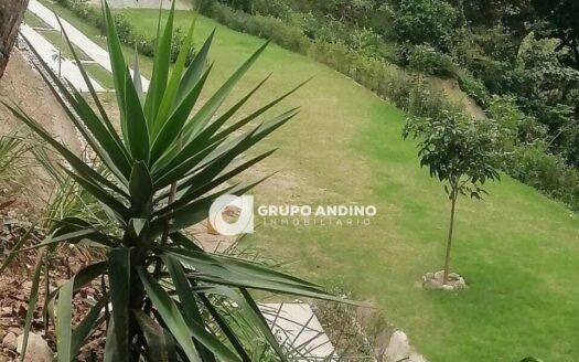 Se Vende Lote Independiente Terreno Mensuli Vereda la Cuchilla – Piedecuesta