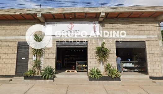 local comercial acapulco